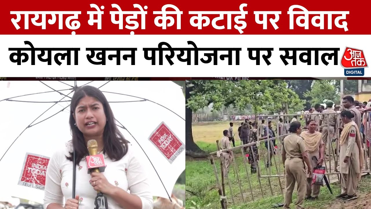 5000 trees were cut down in Raigarh, causing a stir over coal mining.