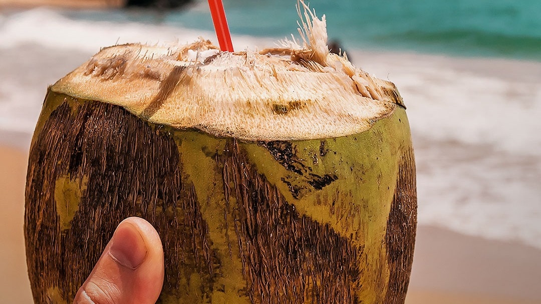 coconut water price difference in INDIA