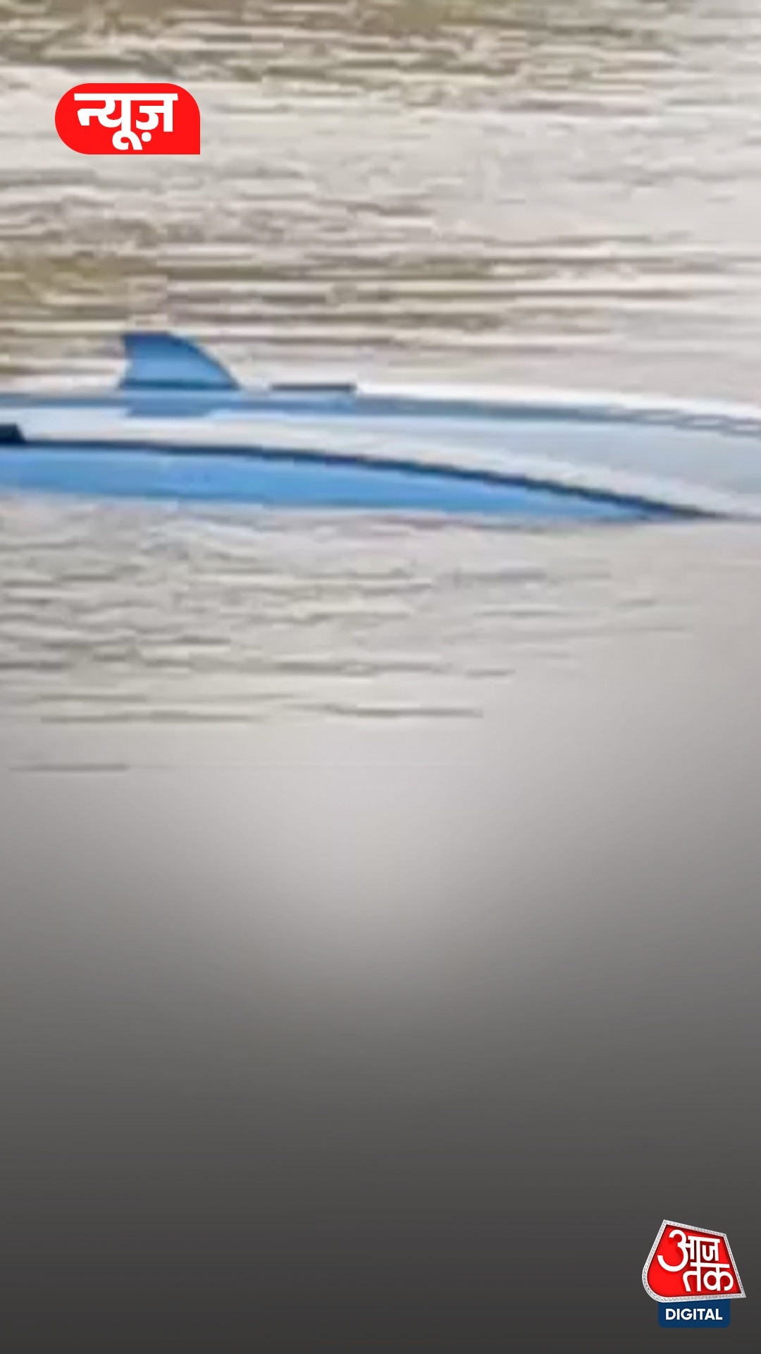 Car dive news