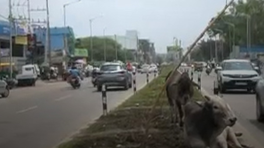 bhopal