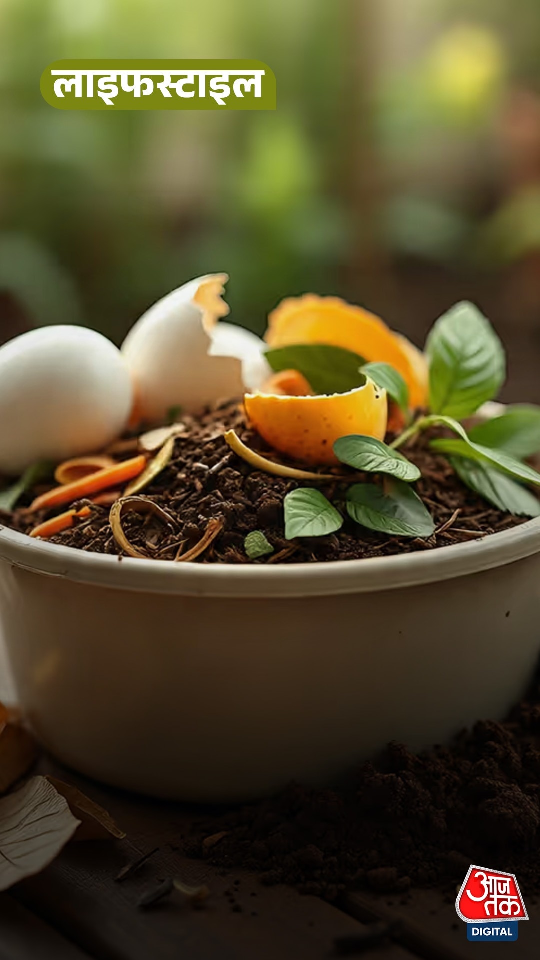 Kitchen Waste से ऐसे घर में बनाएं ऑर्गेनिक खाद