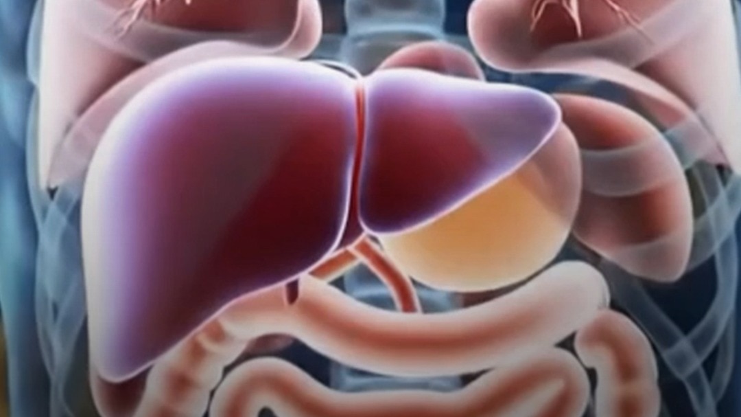 healthy liver - breakfast items suggested by doctor