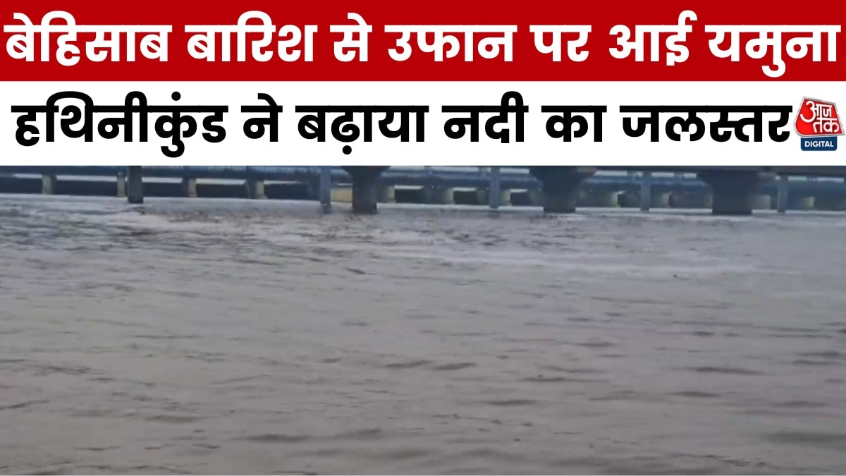 yamuna river water level