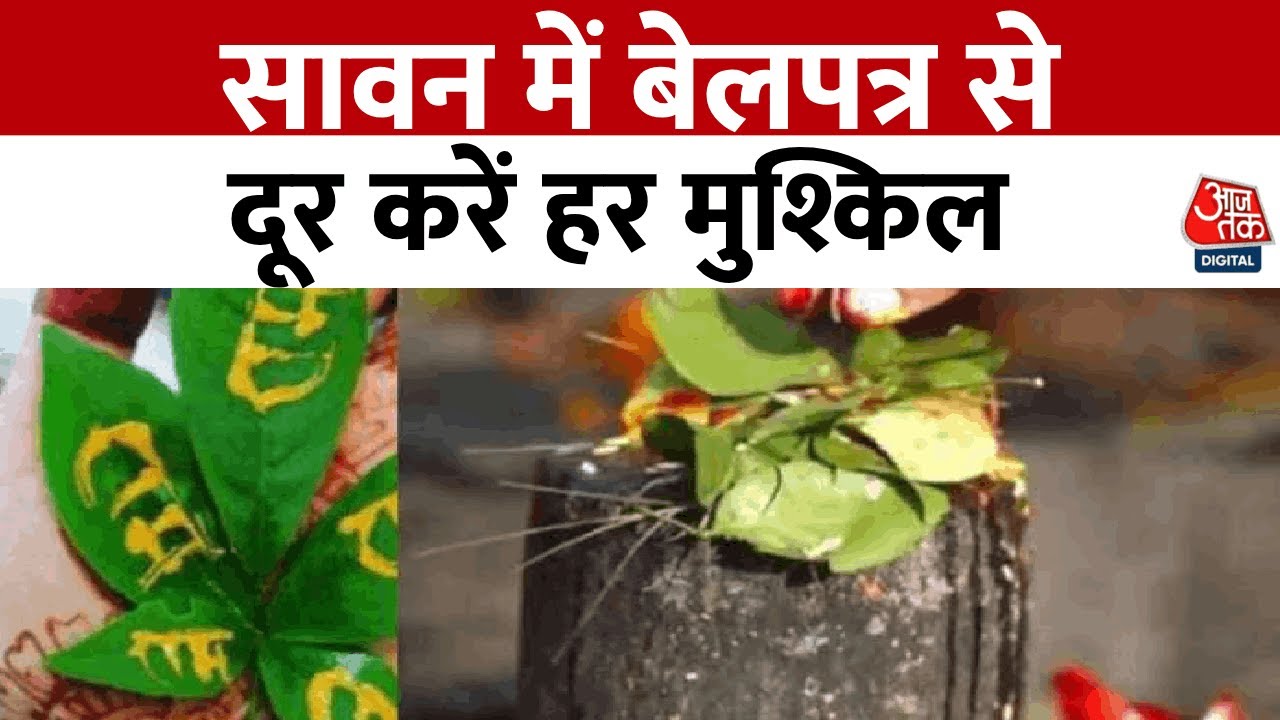 Fates Wheel: Difficulties will be far away with the belpatra, blessings of Shiva in Sawan.