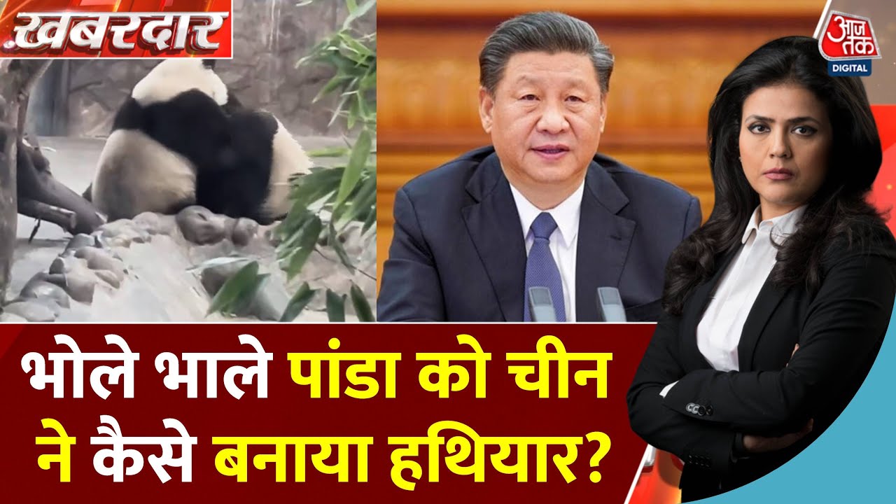 चीन की पांडा कूटनीति, दोस्ती के नाम पर मोटी कमाई!