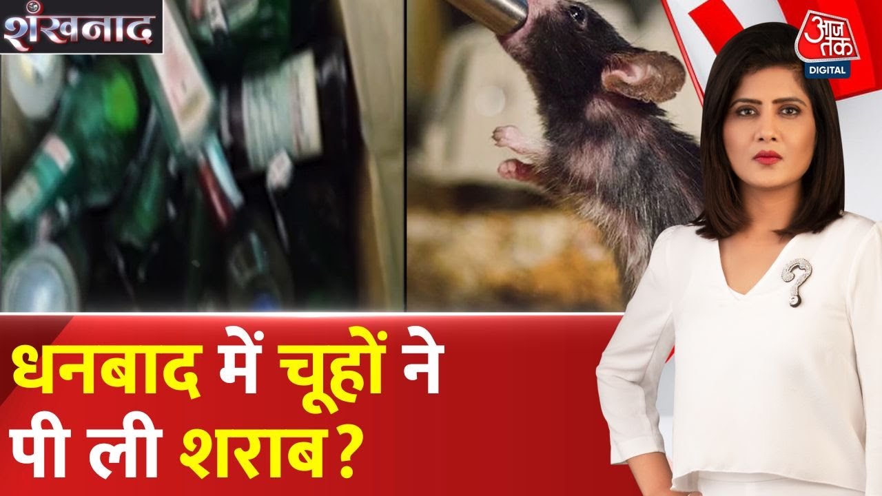 Rats drank alcohol in Dhanbad! | 802 bottles missing