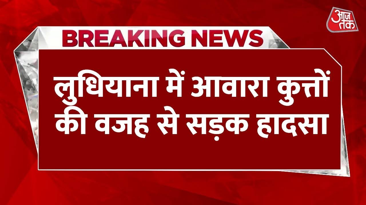 Terror of stray dogs in Ludhiana, two women injured.