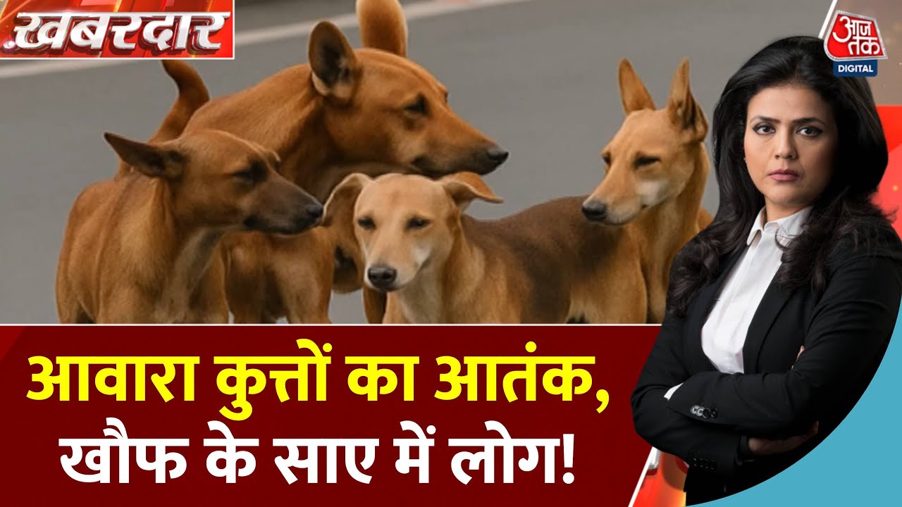 The deadly menace of stray dogs, who is responsible?