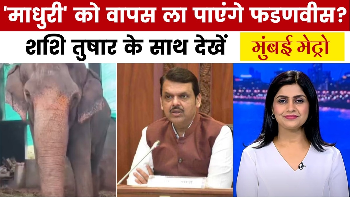 madhuri elephant
