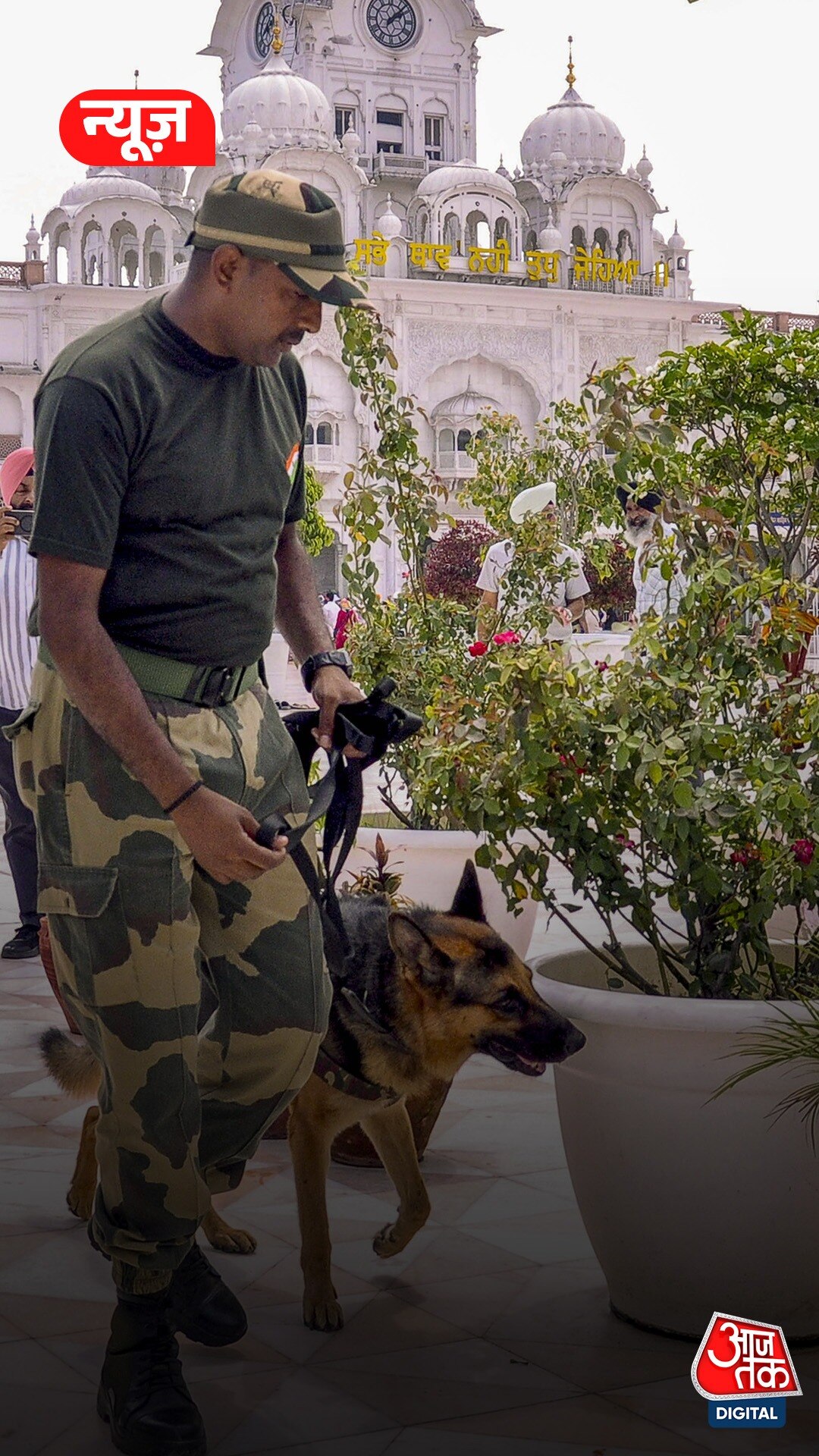 Army Dogs: रिटायरमेंट के बाद कैसी होती है इनकी ज़िंदगी?