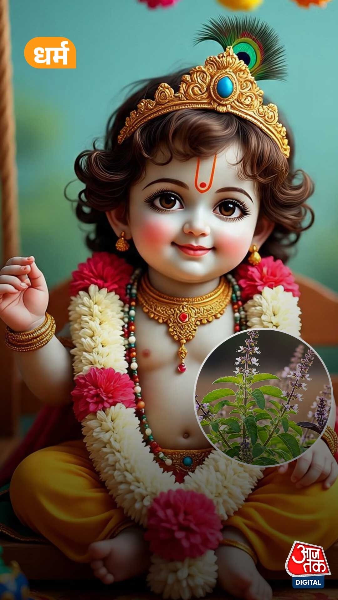 Krishna Janamashtmi 