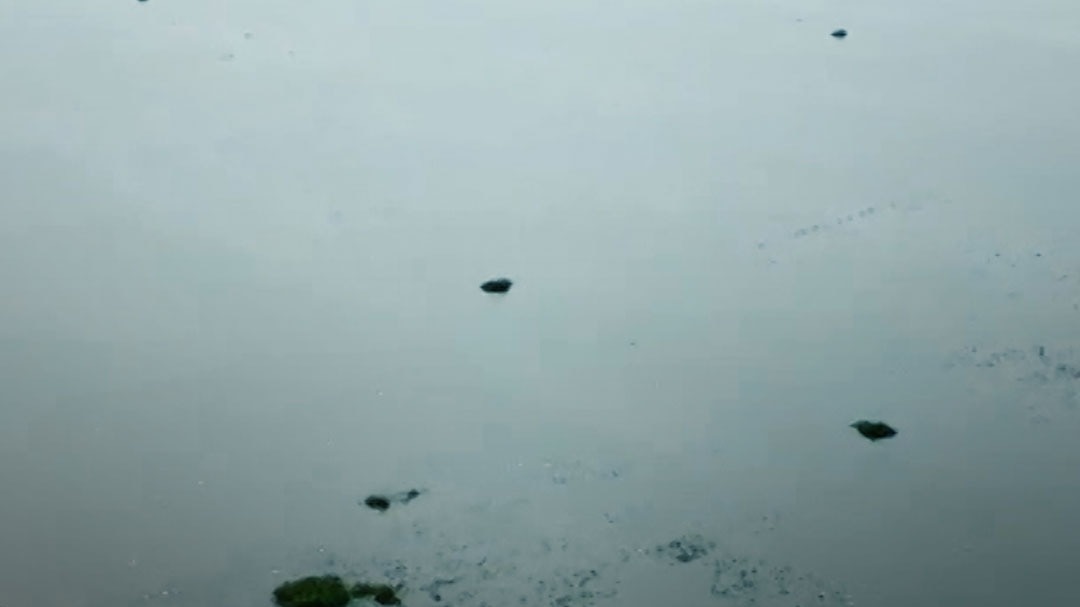 Ganga River 