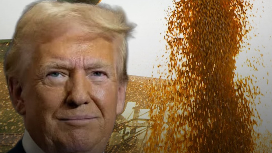 Soyben_China_US