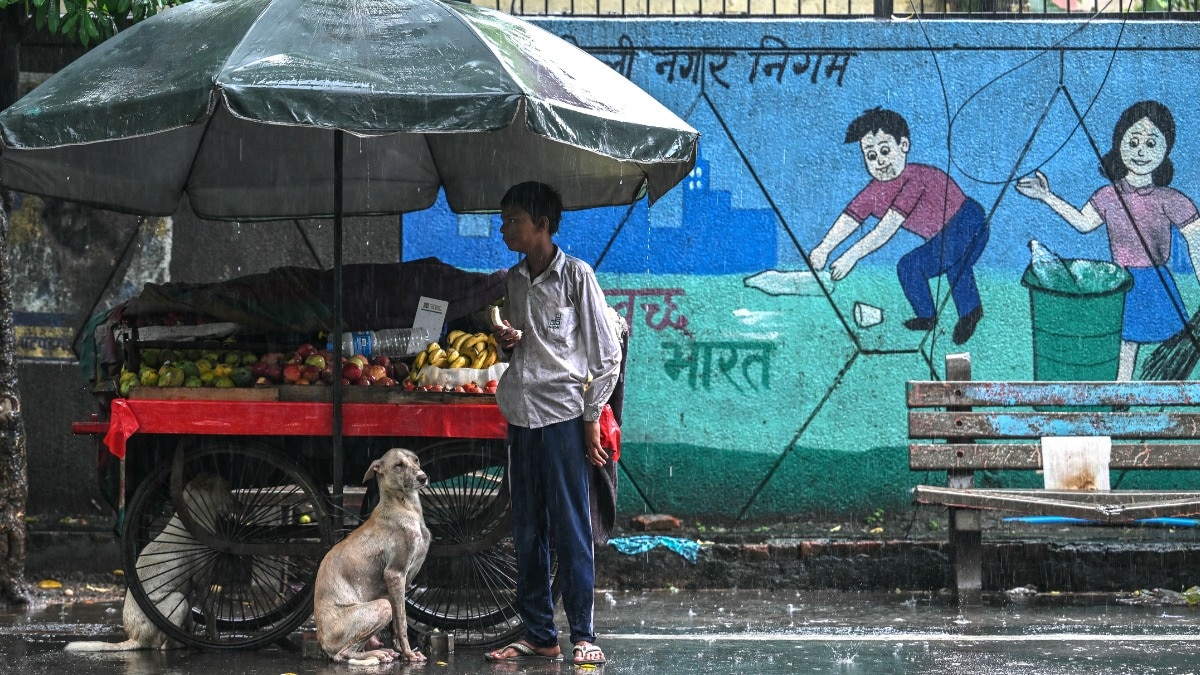 delhi weather