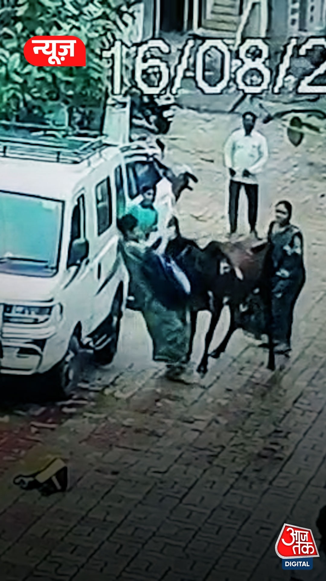 VIDEO: गाय ने महिलाओं पर किया हमला