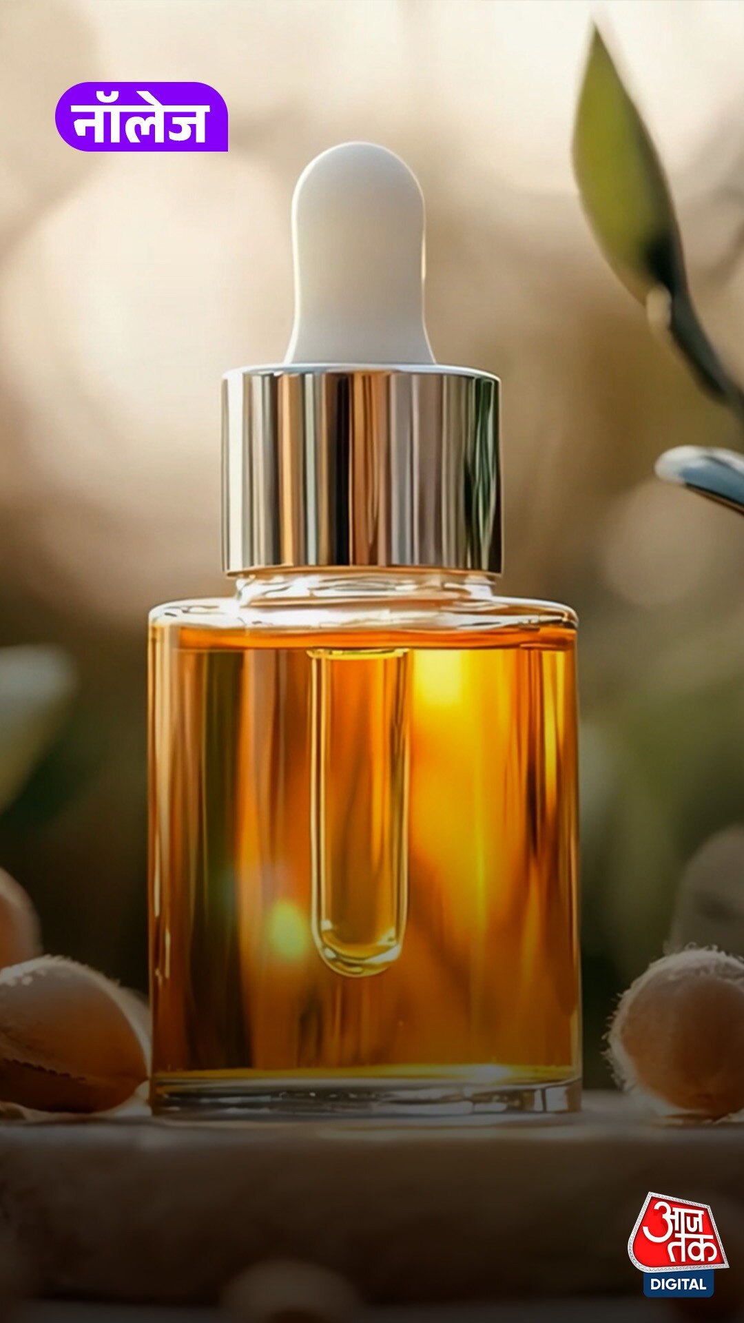 क्यों आर्गन ऑयल कहलाता है ‘Liquid Gold’? जानिए...