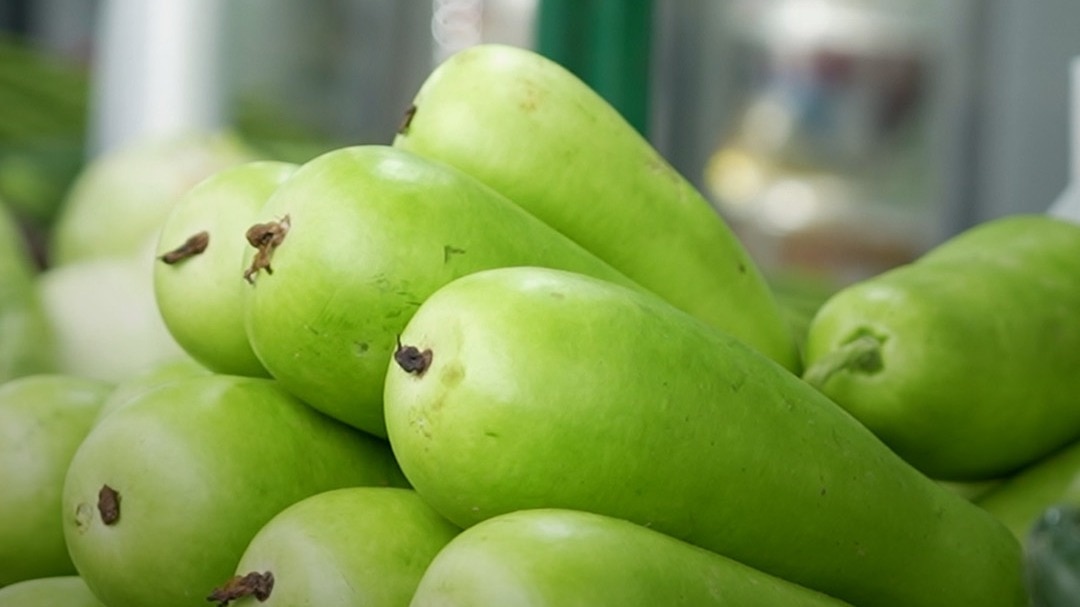 how to cook bottle gourd properly for nutrition