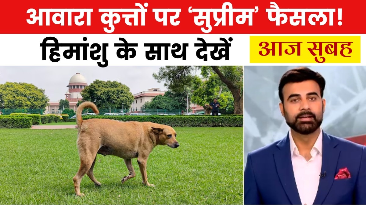 stray dogs verdict