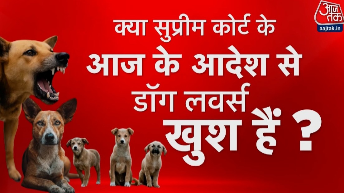 सुप्रीम कोर्ट के नए आदेश से कुत्तों के लिए राहत या बढ़ गई आफत? देखें विशेष