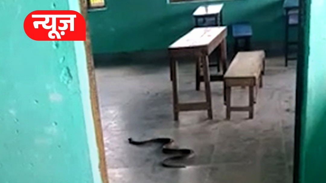 Snake in Classroom