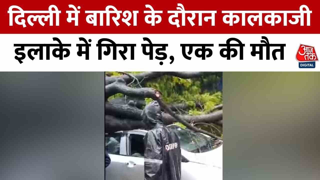 दिल्ली: कालकाजी में कार-बाइक पर भारी भरकम पेड़ गिरने से एक की मौत; देखें