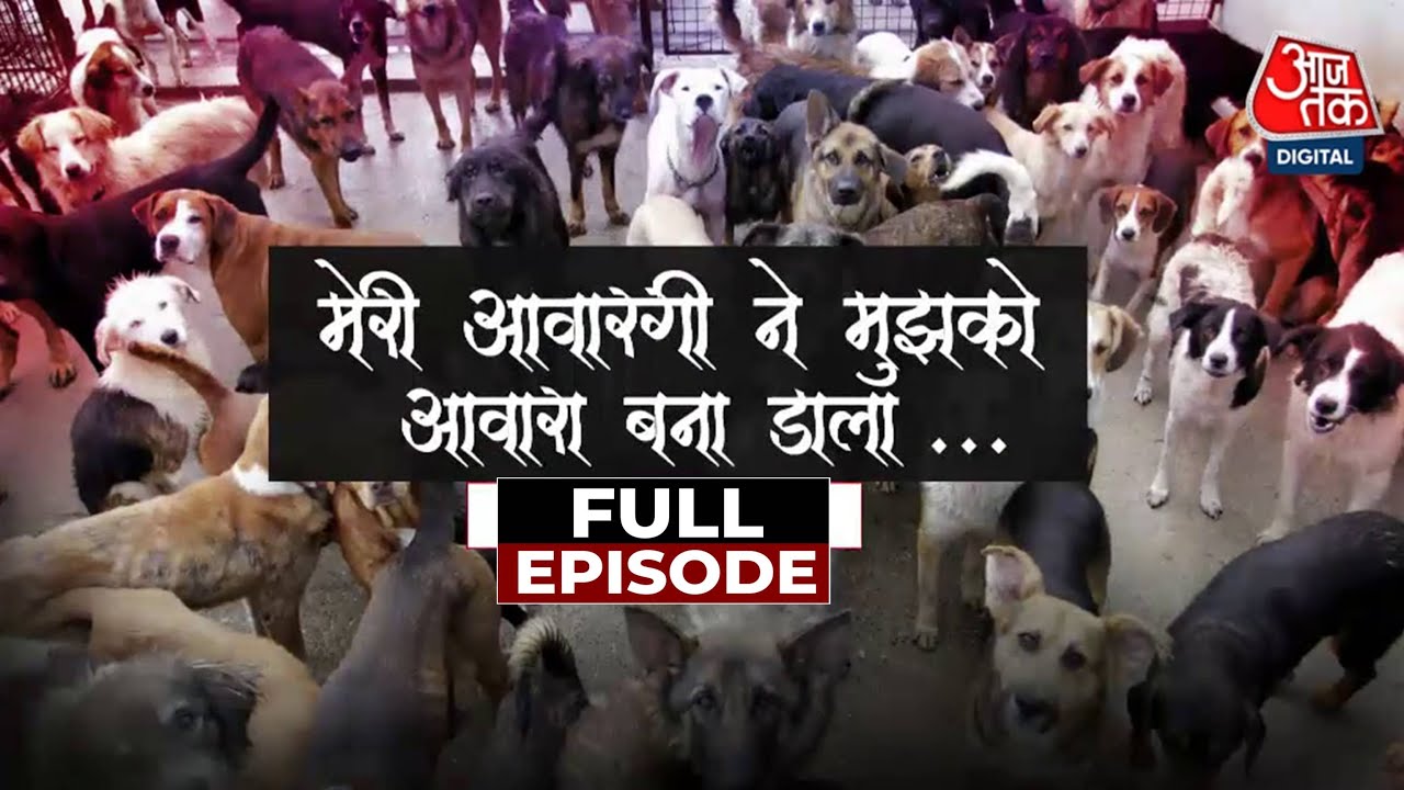 Incident: Supreme Courts order on stray dogs, what will happen?