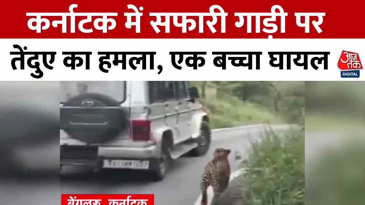 Leopard attack on safari bus, child injured.