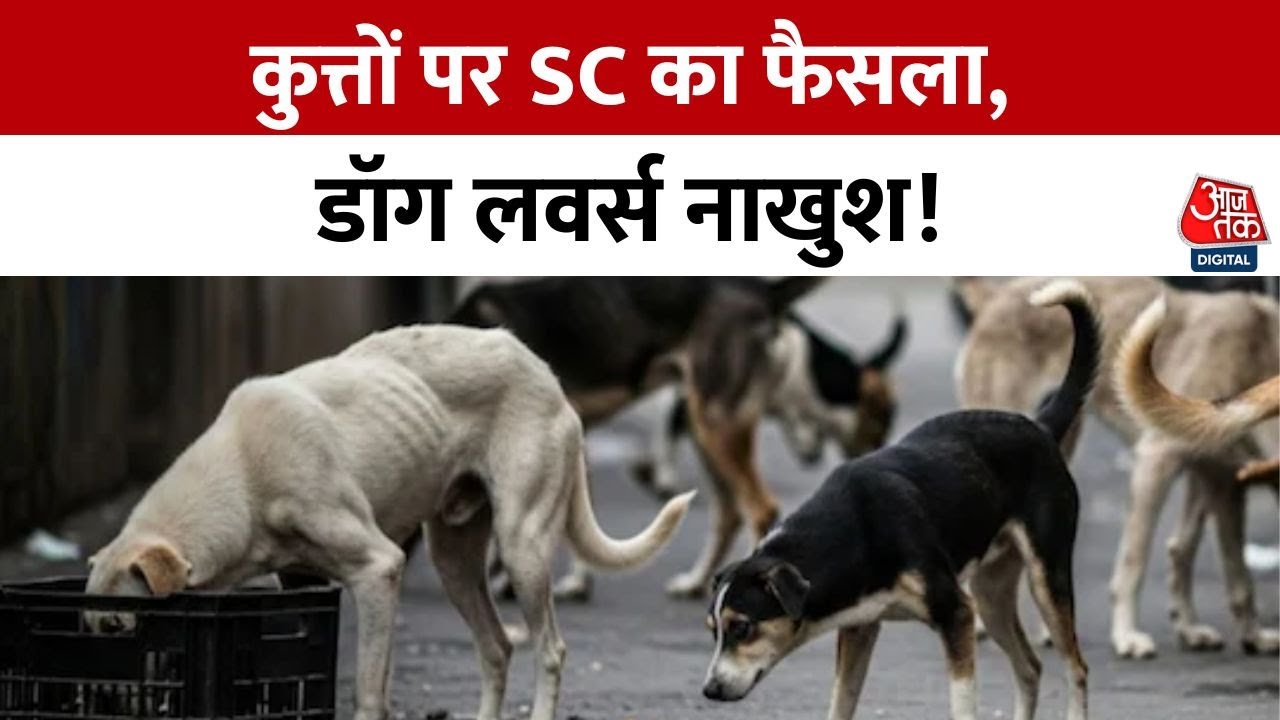 Special: Supreme Courts decision on dogs, why are dog lovers unhappy?