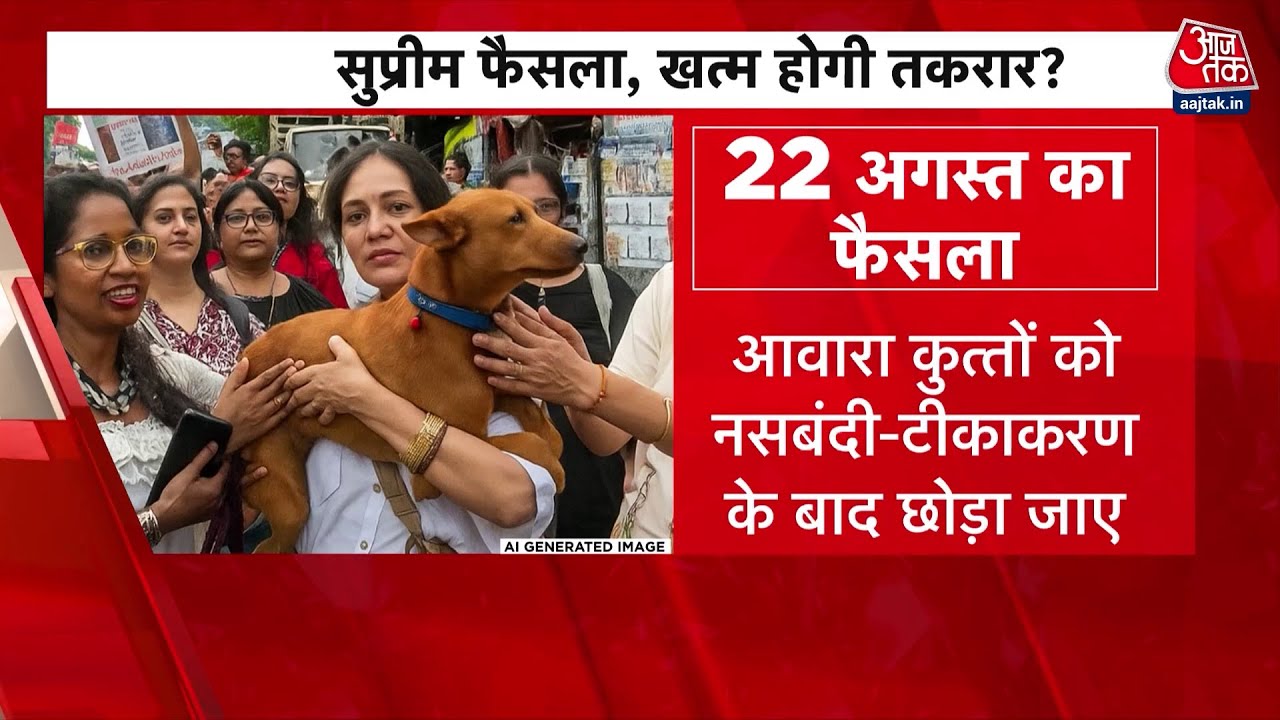 Supreme Courts decision on stray dogs: Release after sterilization, but controversy continues.