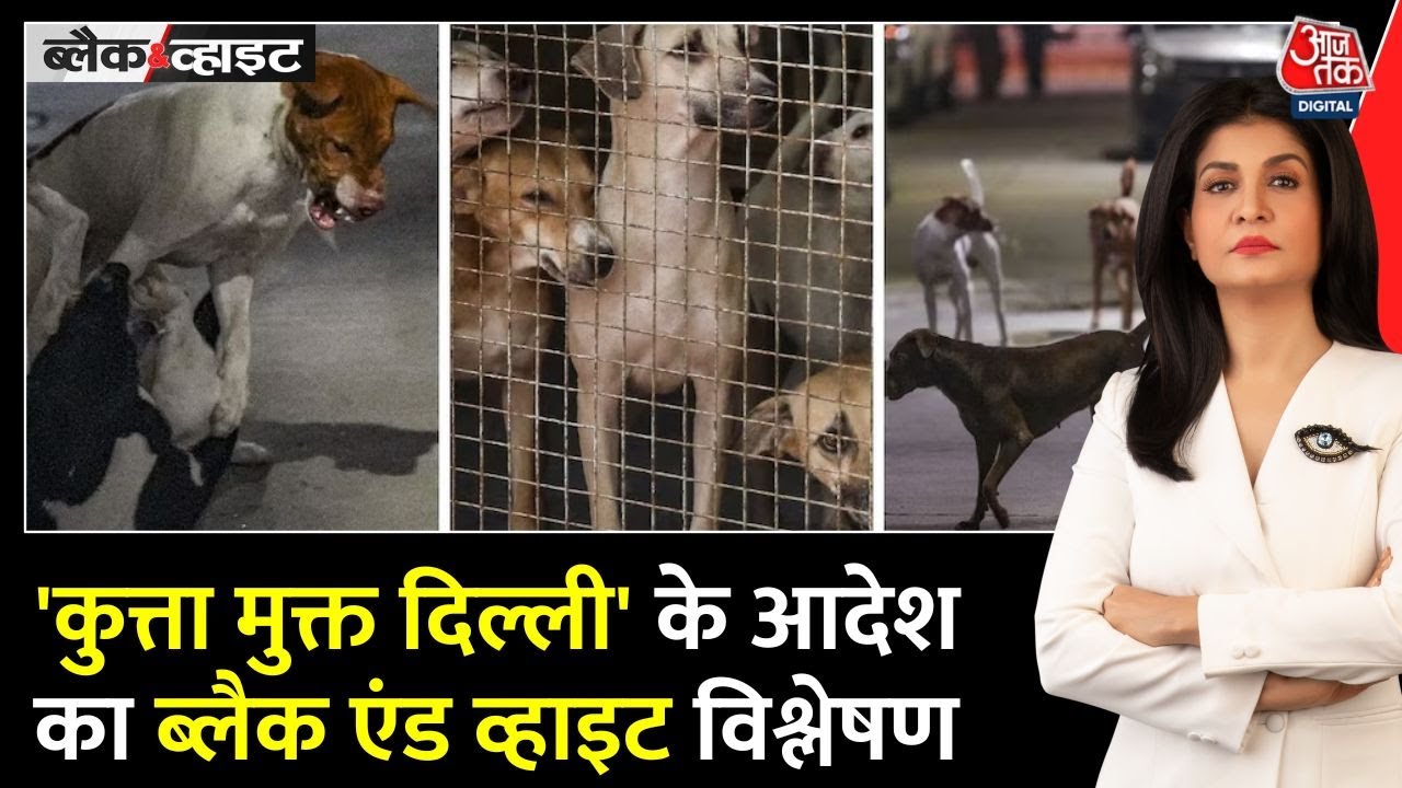 Supreme Courts strict order on stray dogs, what will happen in Delhi NCR?
