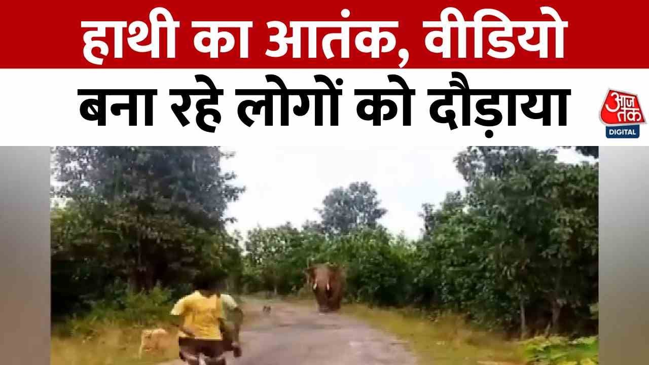 The elephant rampaged, and villagers fled to save their lives!