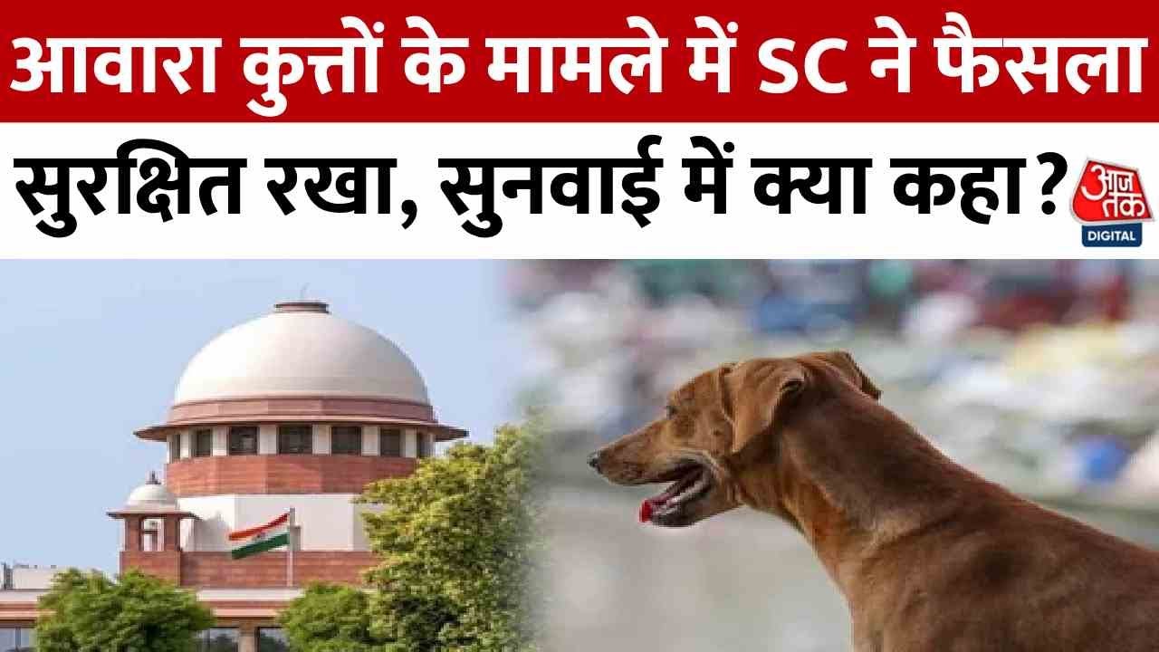 आवारा कुत्तों पर SC का फैसला सुरक्षित, देखें सुनवाई में कोर्ट ने क्या कहा
