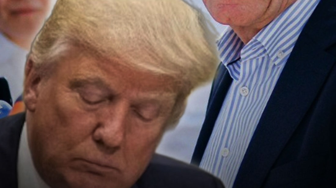 भारत संग टैरिफ वॉर में जर्मनी ने Trump को दिखाया आईना!