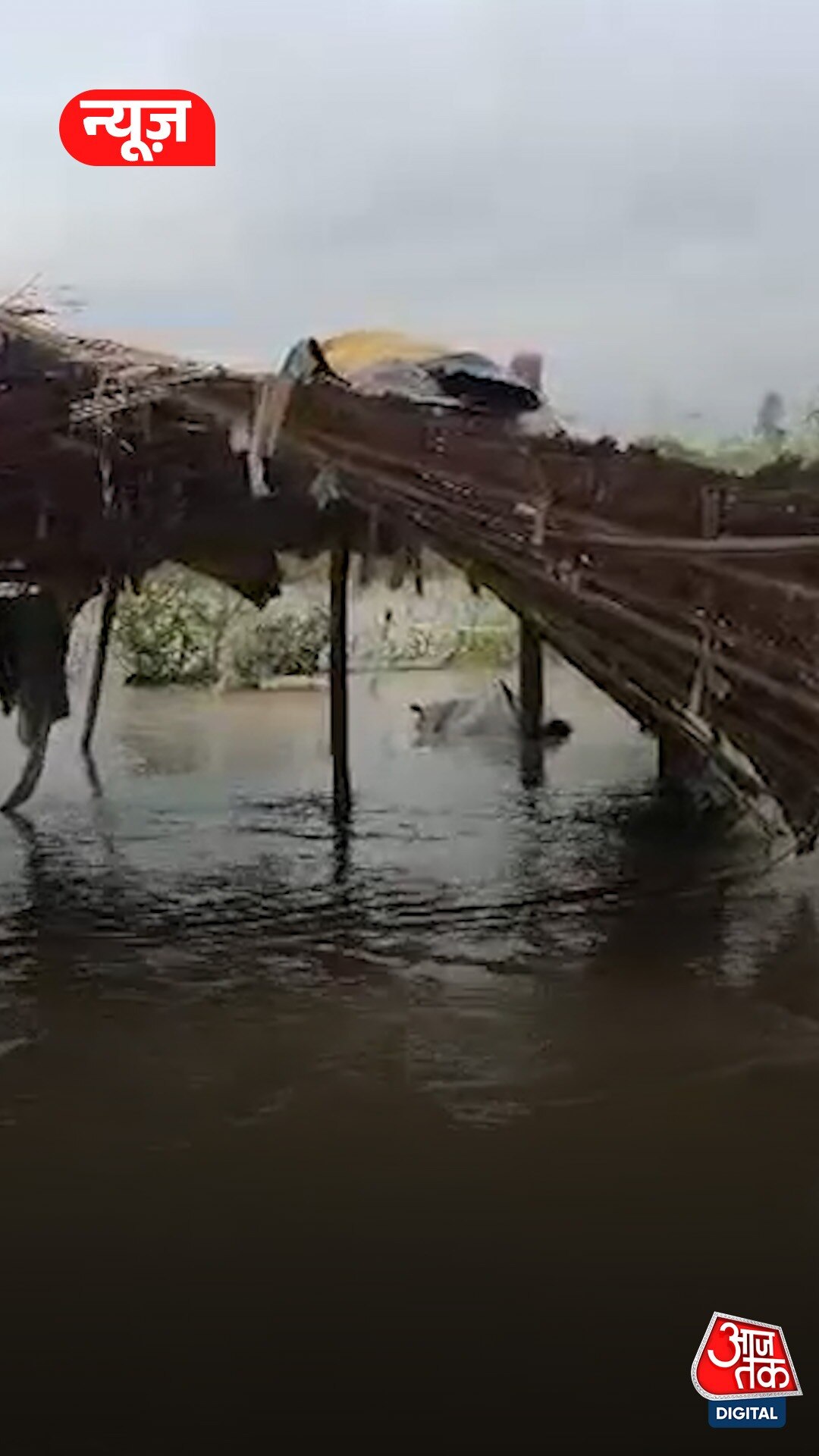 नोएडा में बढ़ा यमुना का जलस्तर, पानी में डूबे खेत