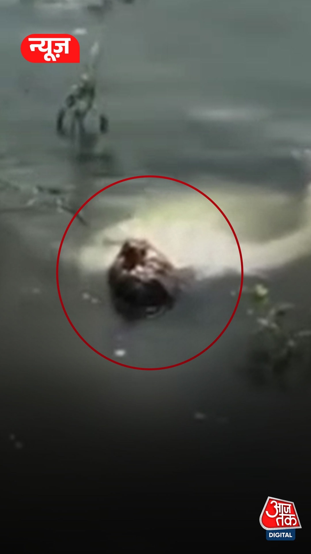 ग्वालियर में पुलिस को देख जिंदा हुई 'लाश'!