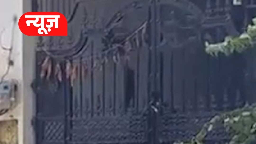 Etawah UP mad dog fear  