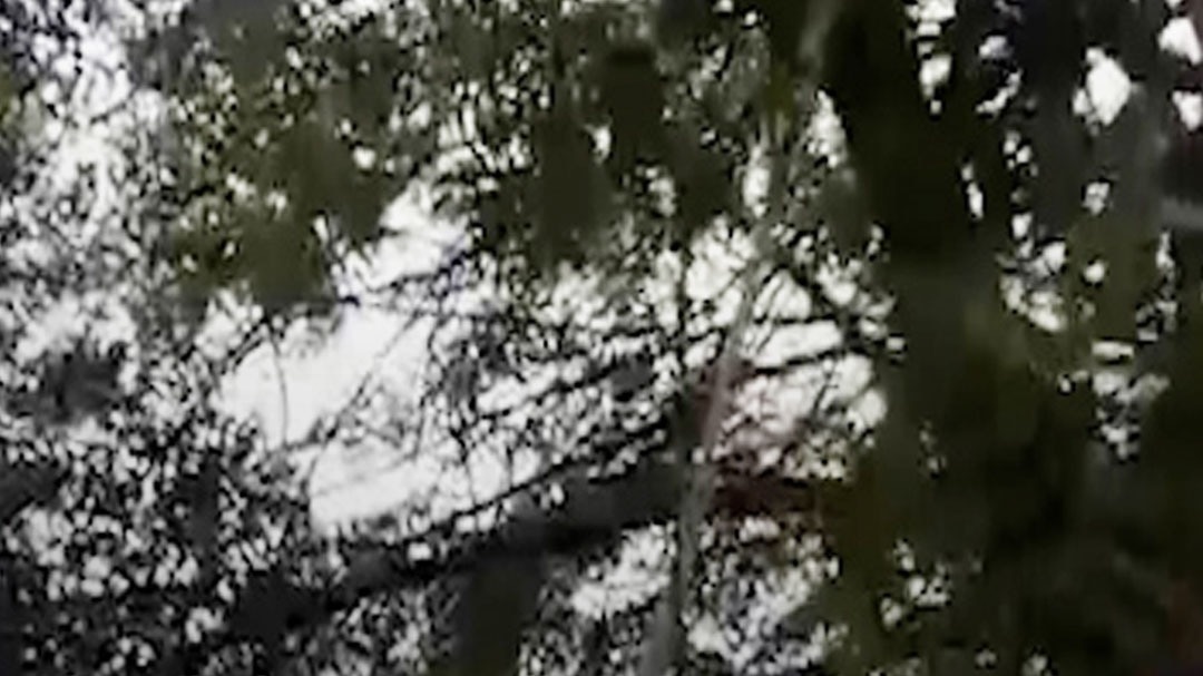 vijaypura death case