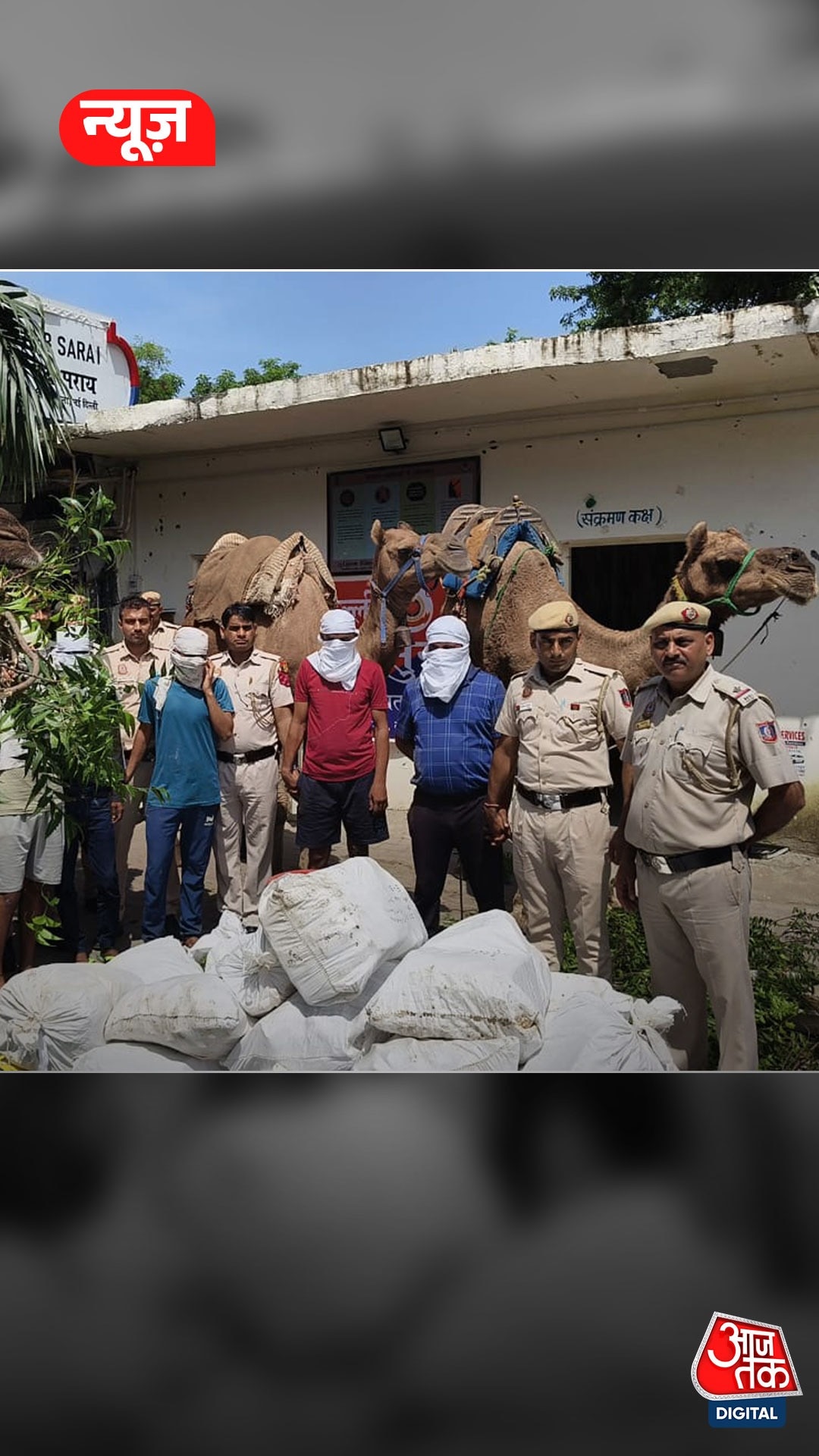 दिल्ली में ऊंट से हो रही शराब की तस्करी