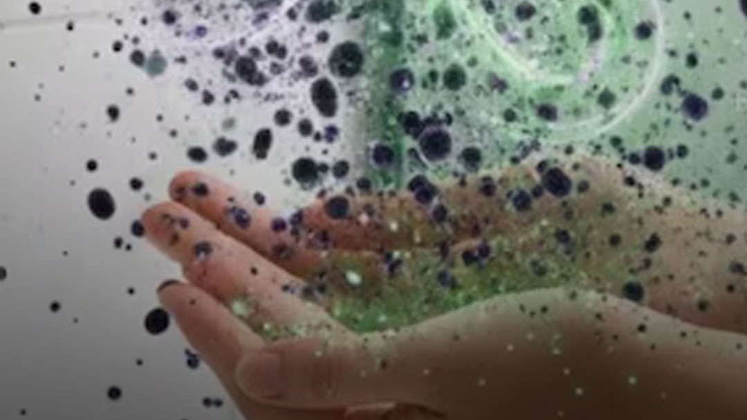 hand dryer germs health WHO