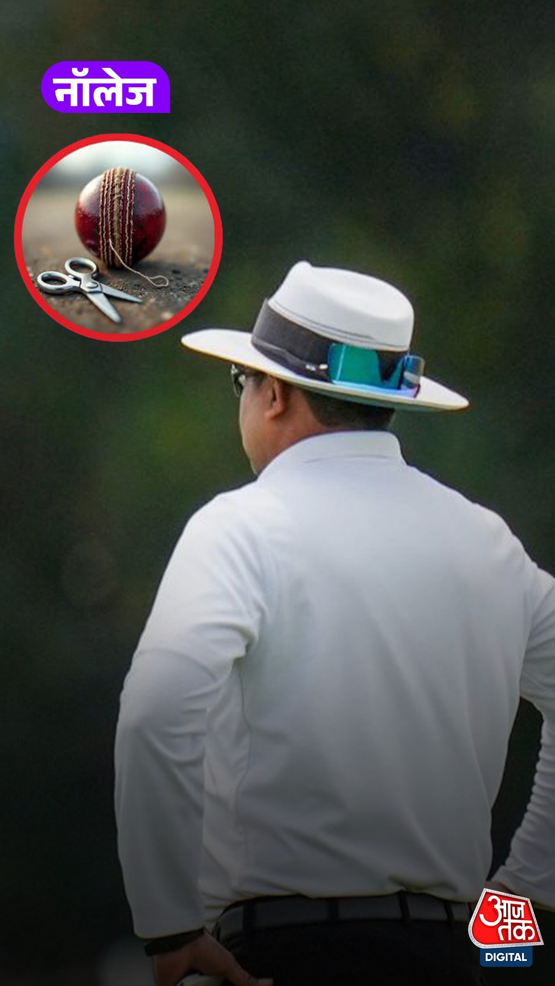 Cricket Umpire साथ रखते हैं कैंची, जानें इसका असली कारण