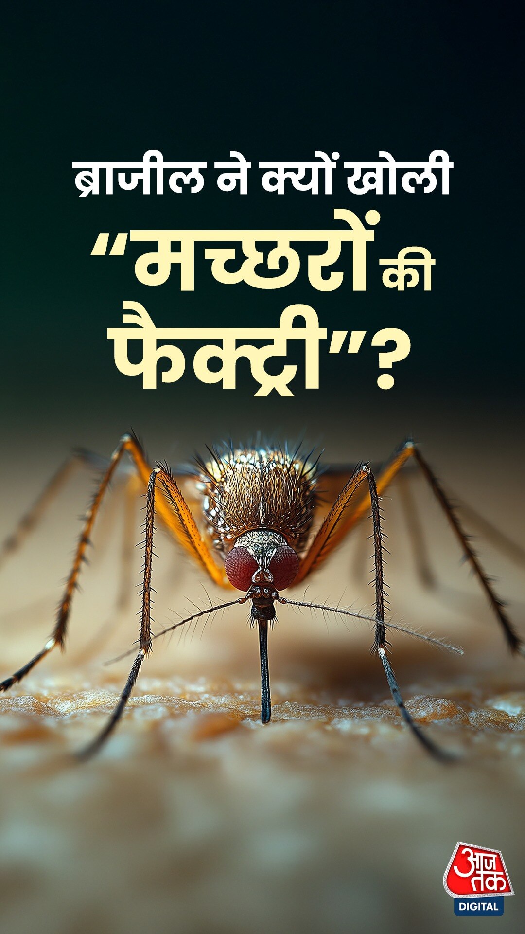 Explainer: Brazil ने क्यों खोली “मच्छरों की सुपर फैक्ट्री”?