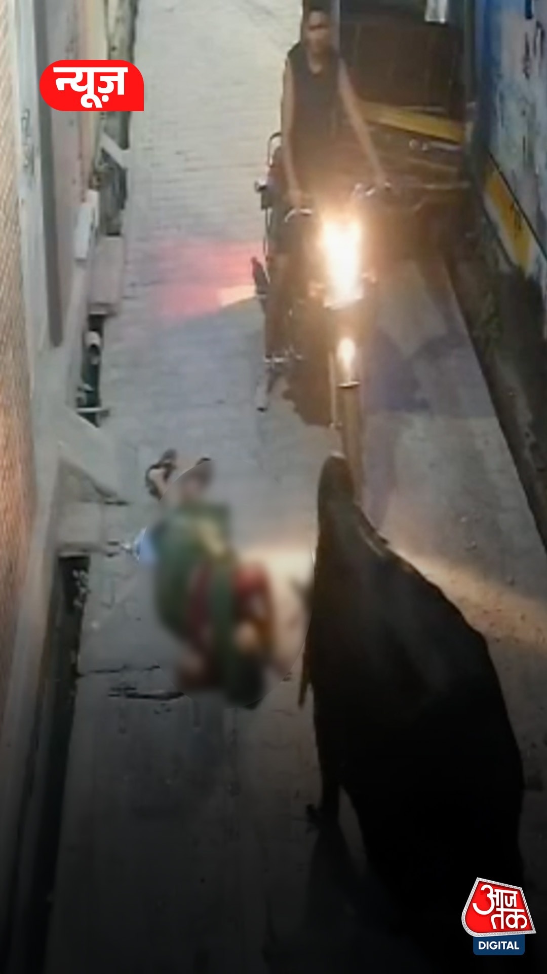 सांड ने महिला को उठाकर पटका, Video