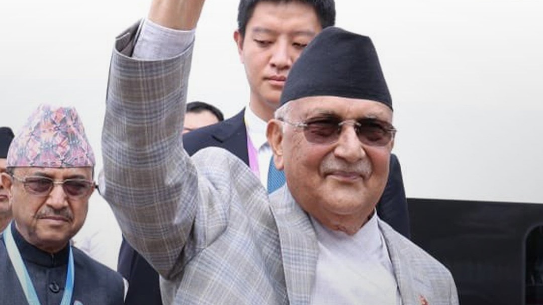 KP_Oli_appearence