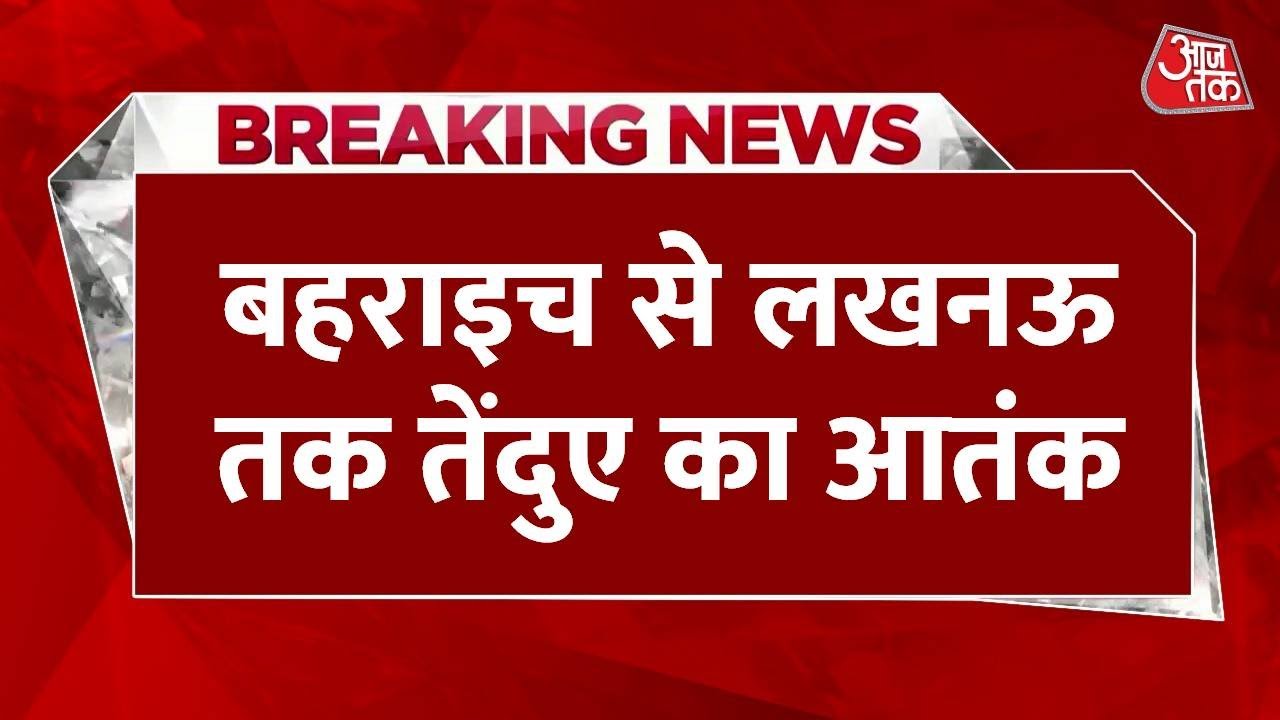 Fear of leopards in Lucknow, fewer devotees at temples, forest department on alert.