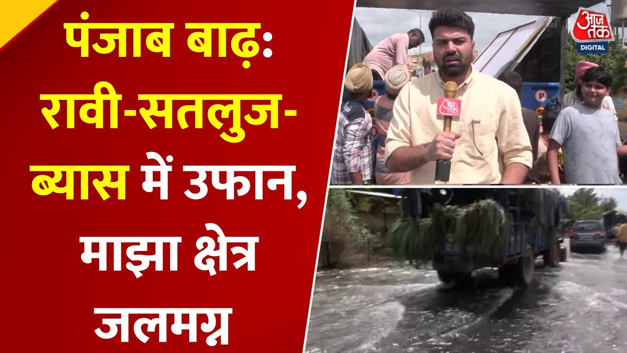 Flood-Affected Punjab: Fodder Arrives from Hoshiarpur for Animals