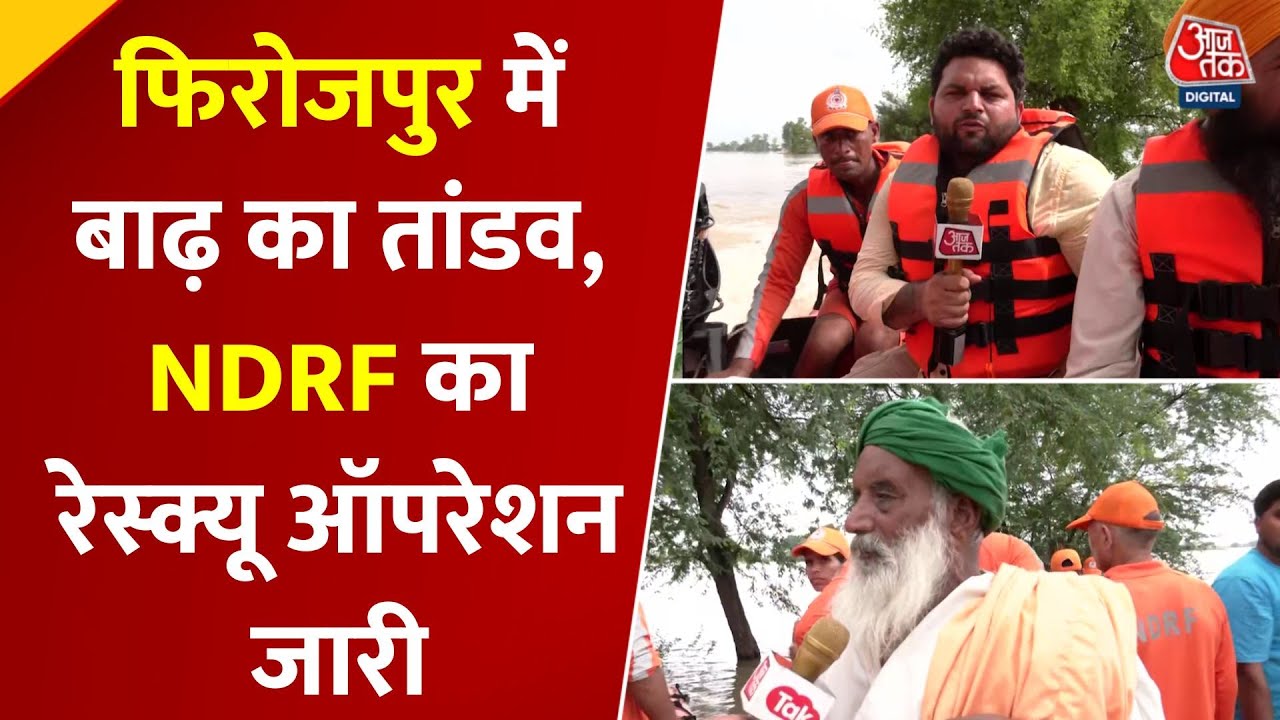 Flood devastation in Firozpur, NDRF rescue operation ongoing.