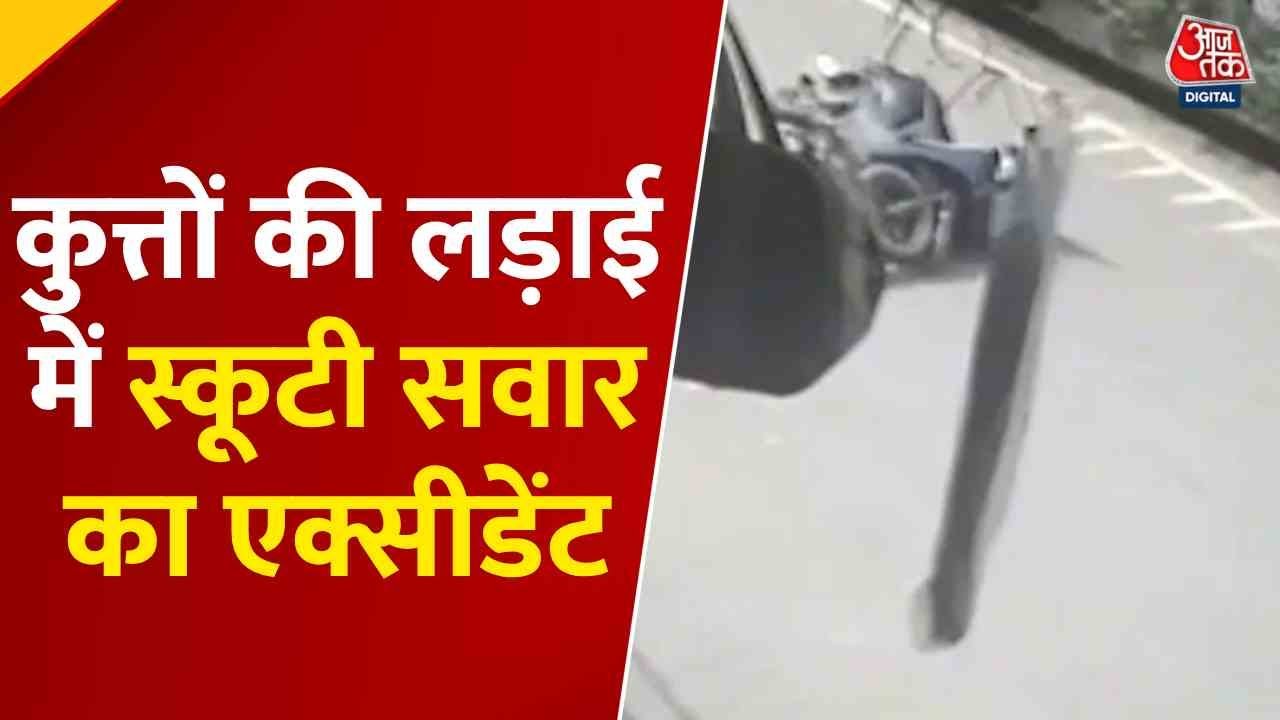 Ghaziabad: Scooty rider injured in dog fight, CCTV footage.