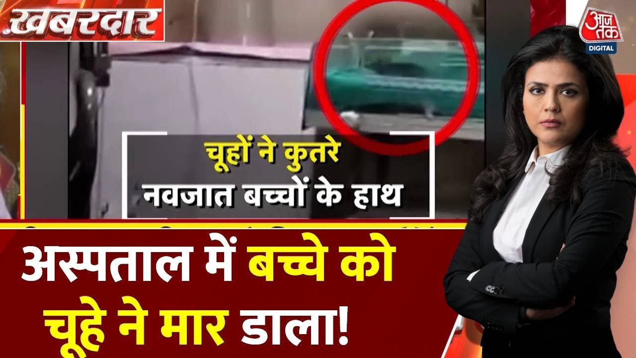 The devastation caused by rats in the hospital puts newborns lives at risk!