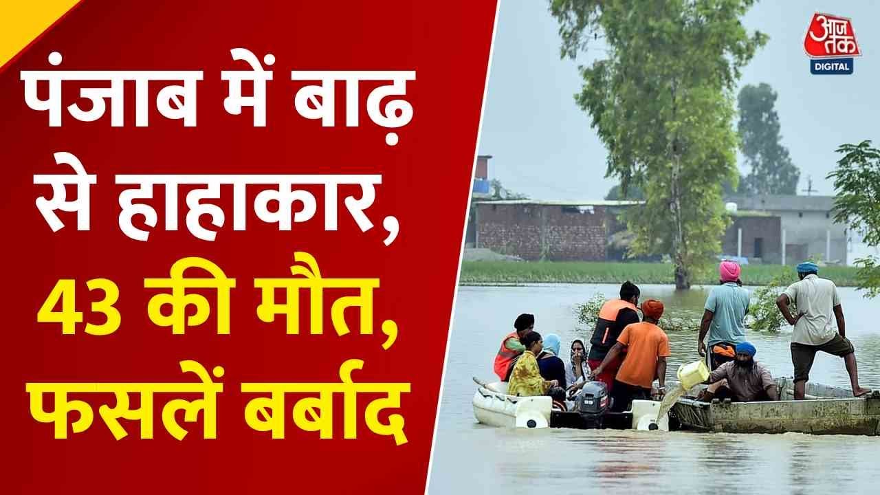 पंजाब में बाढ़ से भीषण तबाही; डूबे हजारों गांव, लाखों हेक्टेयर फसलें बर्बाद