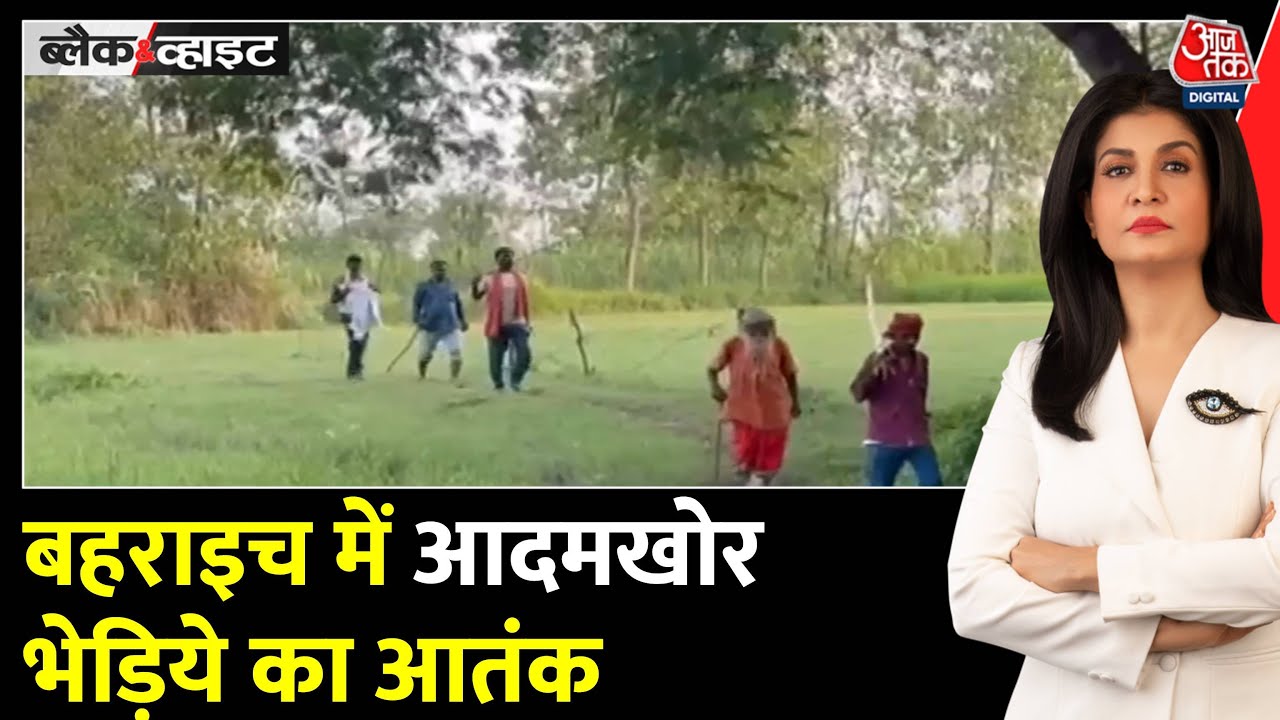 The terror of wolves in Bahraich, danger to children!